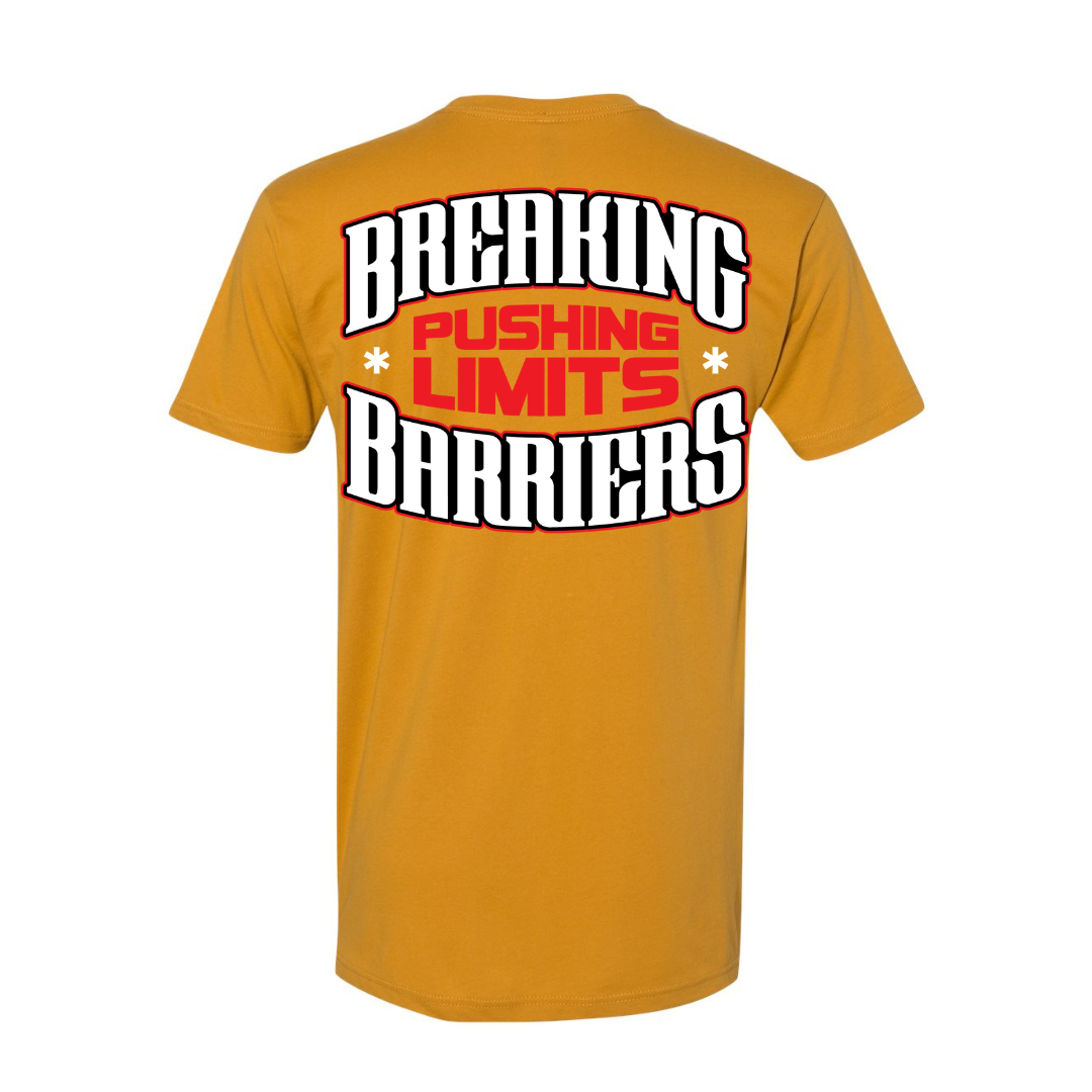 GYFITNESS BASIC TEE - ANTIQUE GOLD